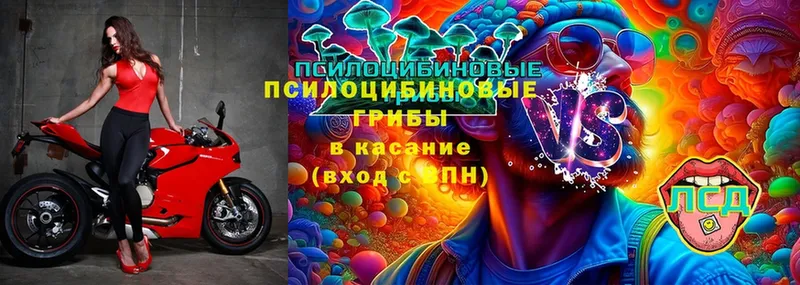 Галлюциногенные грибы Magic Shrooms  kraken зеркало  Козловка 